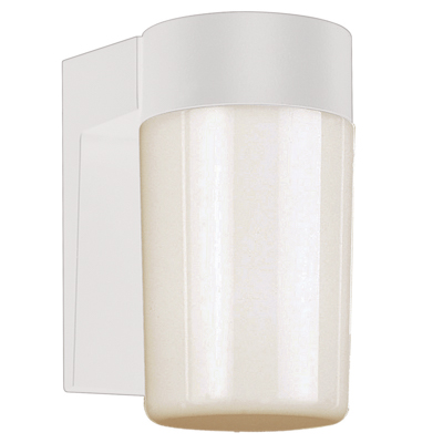 Trans Globe Lighting 4810 WH 1 Light Coach Lantern in White